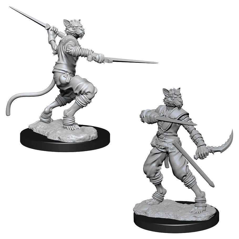 D&D Mini (W07): Male Tabaxi Rogue