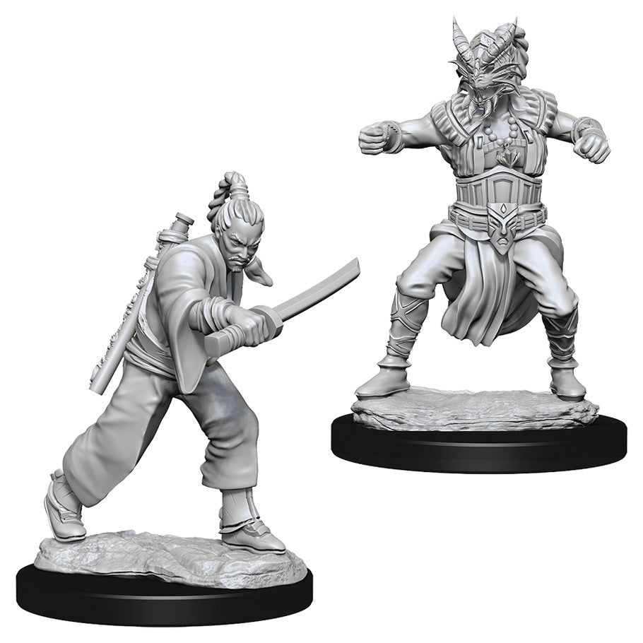 D&D Mini (W08): Male Human Monk