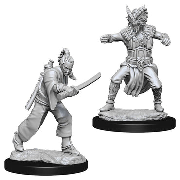 D&D Mini (W08): Male Human Monk