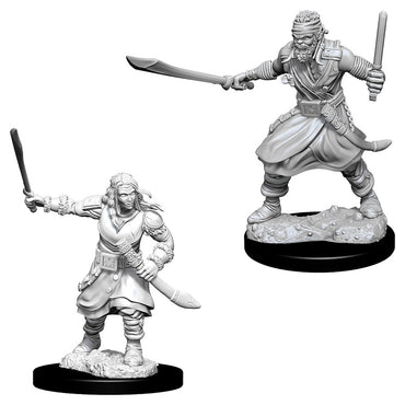 D&D Mini (W08): Bandits