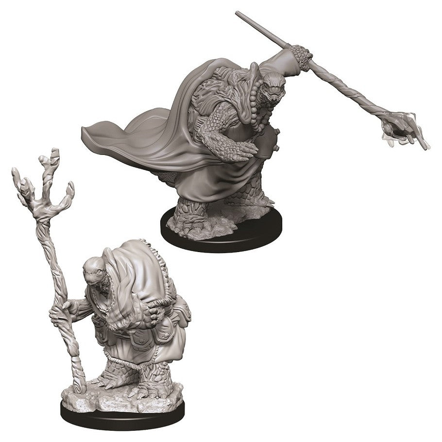 D&D Mini (W09): Tortle Adventurers