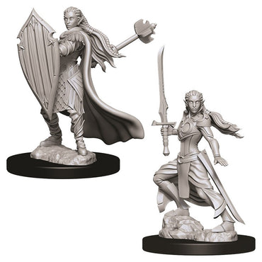 D&D Mini (W09): Female Elf Paladin