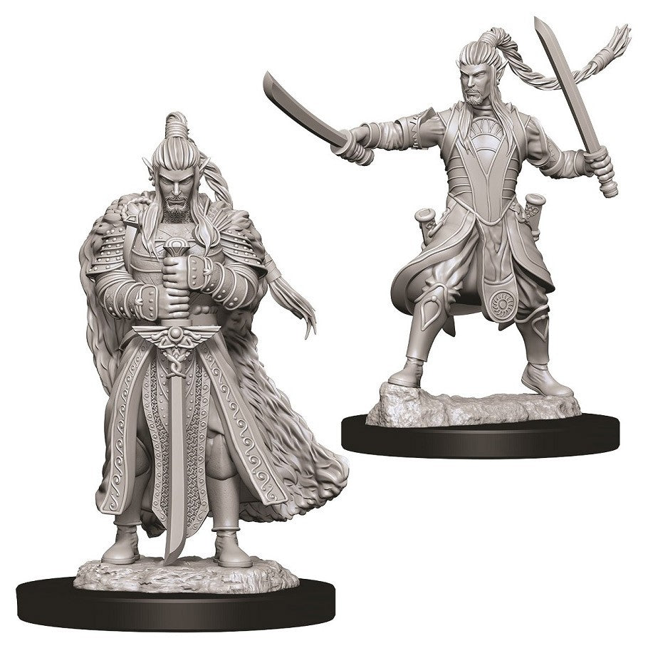 D&D Mini (W09): Male Elf Paladin