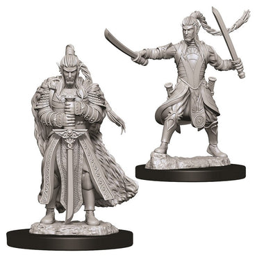 D&D Mini (W09): Male Elf Paladin