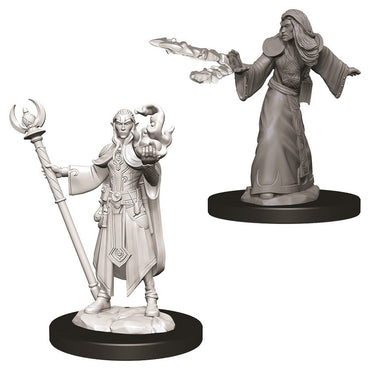 D&D Mini (W09): Male Elf Wizard