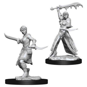 D&D Mini (W11): Female Human Rogue
