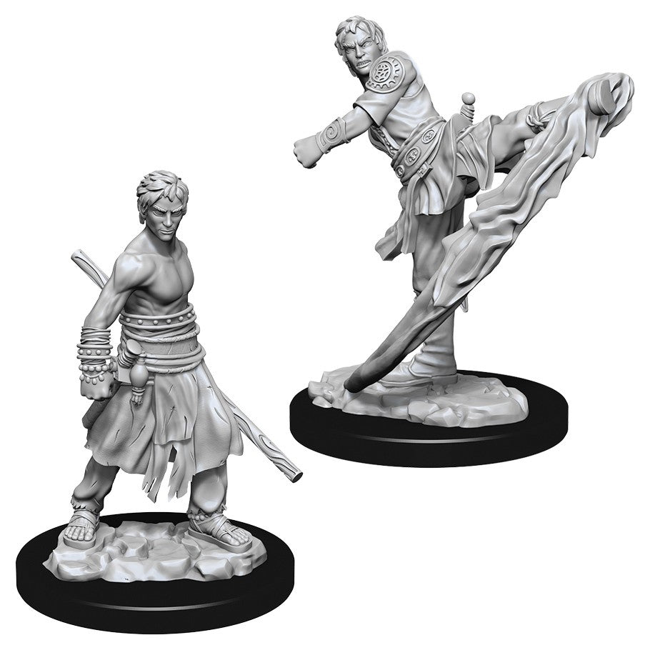 D&D Mini (W10): Male Half-Elf Monk