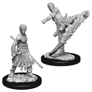 D&D Mini (W10): Male Half-Elf Monk