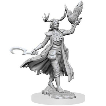 D&D Frameworks Mini (W01): Female Human Druid