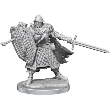 D&D Frameworks Mini (W01): Male Human Fighter