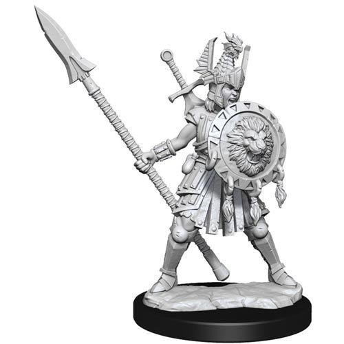 D&D Frameworks Mini (W01): Female Human Fighter