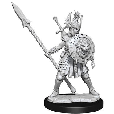 D&D Frameworks Mini (W01): Female Human Fighter