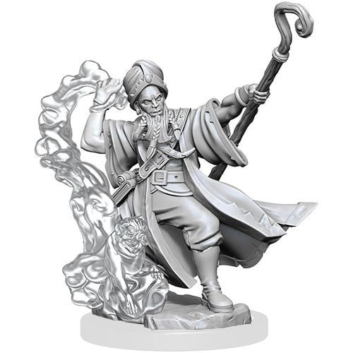 D&D Frameworks Mini (W01): Male Human Wizard