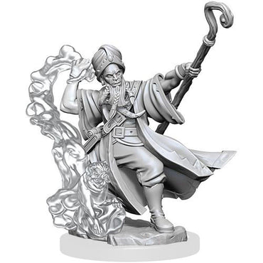 D&D Frameworks Mini (W01): Male Human Wizard