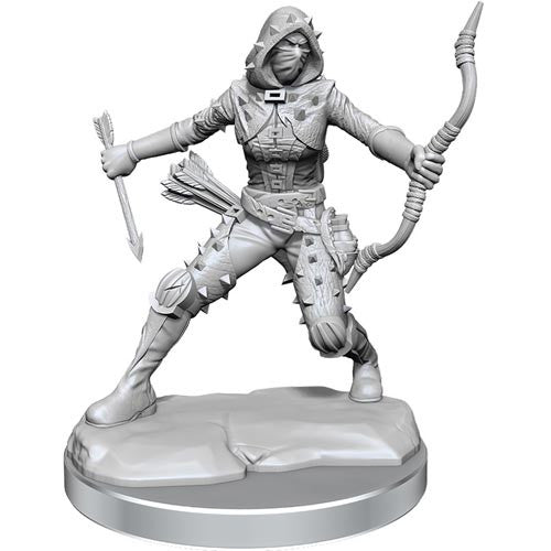D&D Frameworks Mini (W01): Female Human Rogue