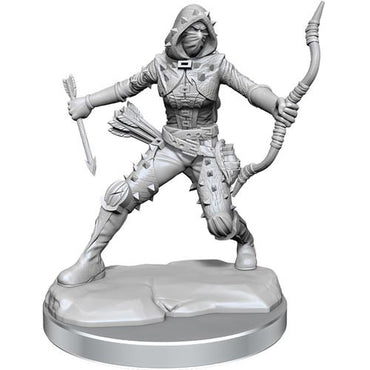D&D Frameworks Mini (W01): Female Human Rogue