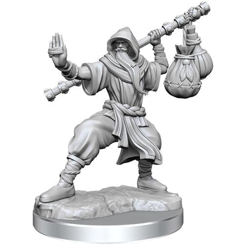 D&D Frameworks Mini (W01): Male Human Monk