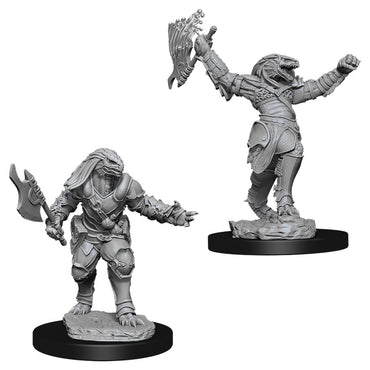 D&D Mini (W11): Female Dragonborn Fighter