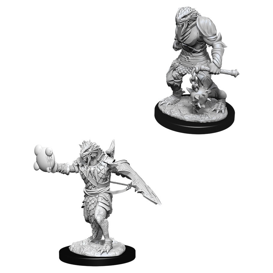 D&D Mini (W11): Male Dragonborn Paladin