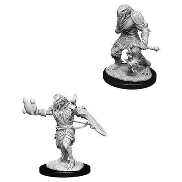 D&D Mini (W11): Male Dragonborn Paladin