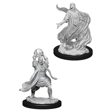 D&D Mini (W11): Male Elf Sorcerer