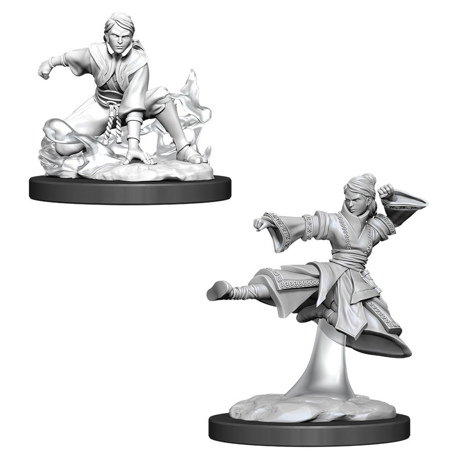 D&D Mini (W11): Female Human Monk
