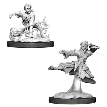 D&D Mini (W11): Female Human Monk