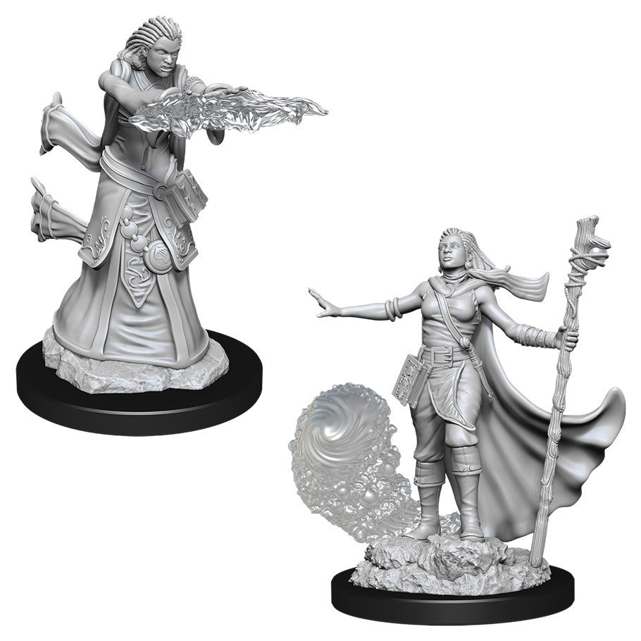 D&D Mini (W11): Female Human Wizard