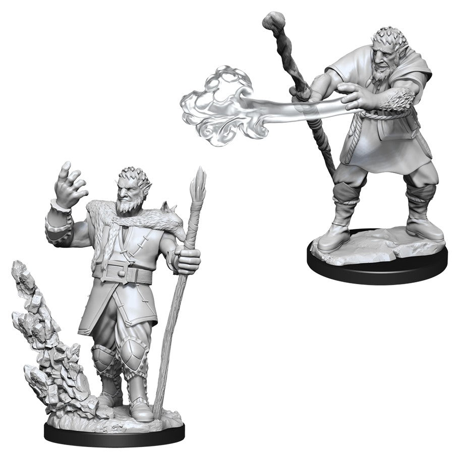 D&D Mini (W11): Male Firbolg Druid
