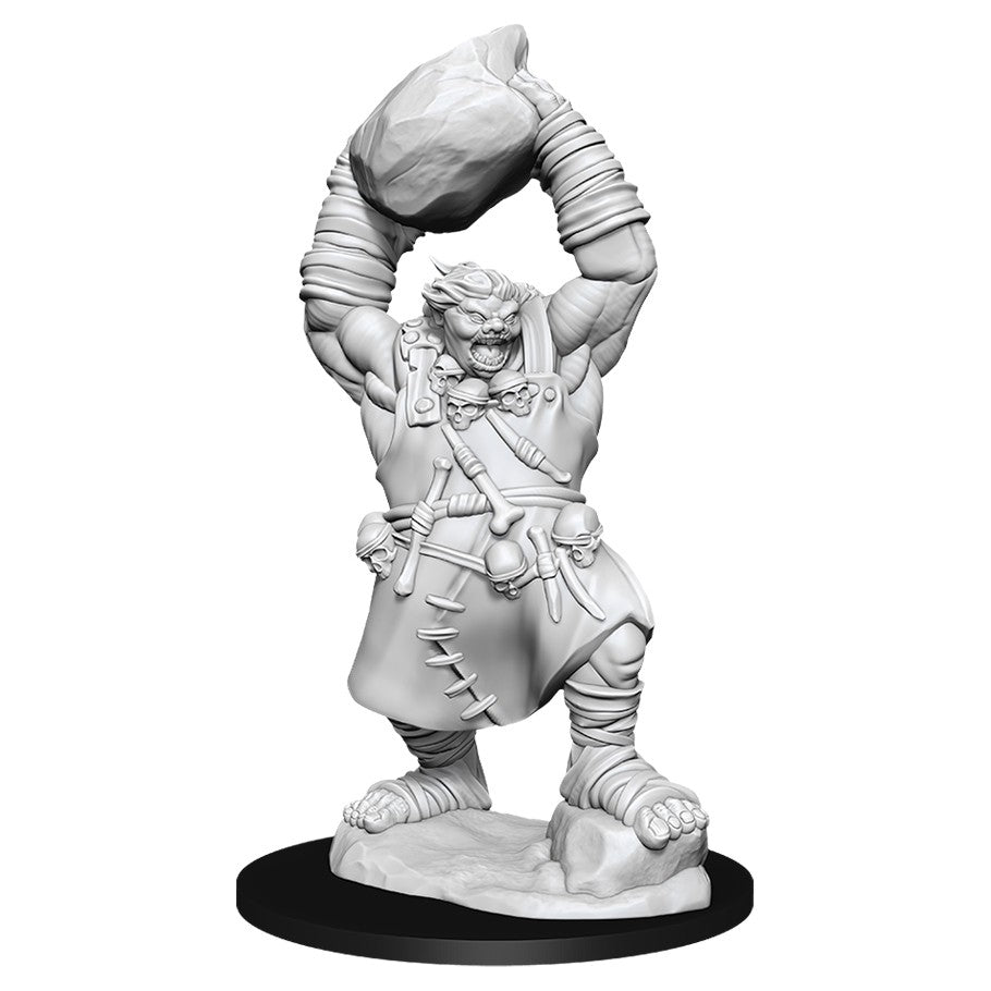 Pathfinder Mini (W11): Ogre