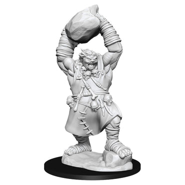 Pathfinder Mini (W11): Ogre