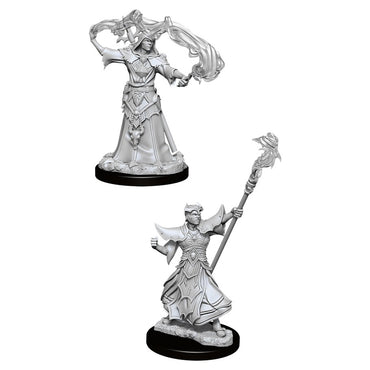 Pathfinder Mini (W11): Human Male Sorcerer