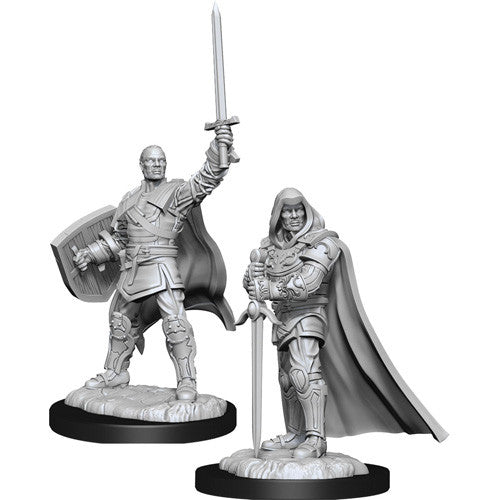 D&D Mini (W13): Male Human Paladin