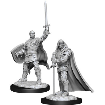 D&D Mini (W13): Male Human Paladin