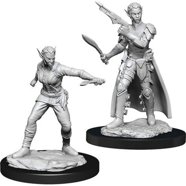 D&D Mini (W13): Female Shifter Rogue