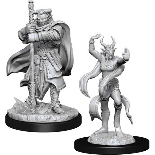 D&D Mini (W13): Hobgoblin Devastator & Iron Shadow