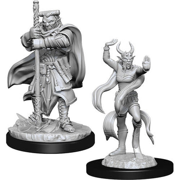 D&D Mini (W13): Hobgoblin Devastator & Iron Shadow