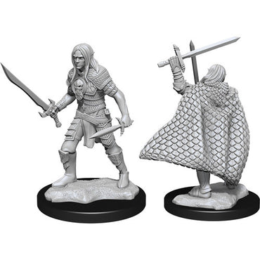 Pathfinder Mini (W13): Male Elf Fighter