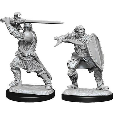 D&D Mini (W14): Male Human Paladin