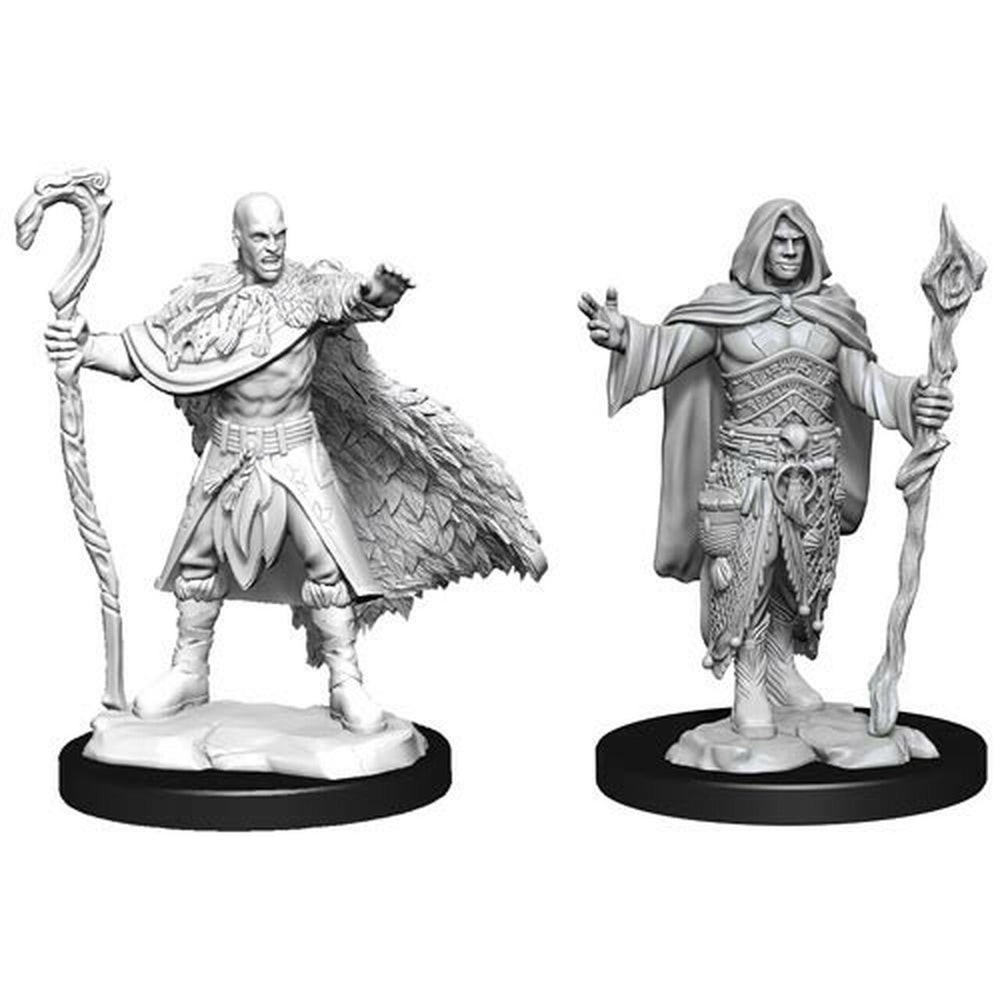D&D Mini (W14): Male Human Druid