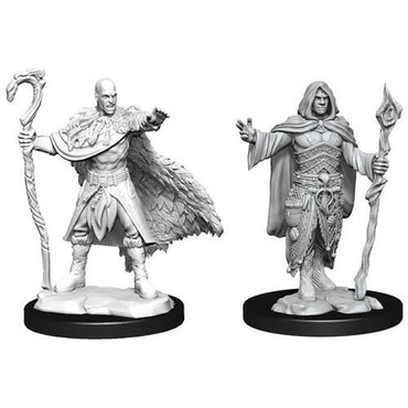 D&D Mini (W14): Male Human Druid