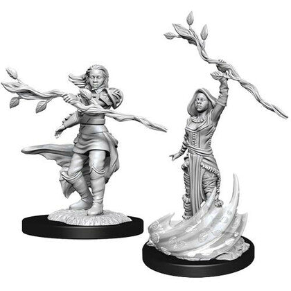 D&D Mini (W14): Female Human Druid
