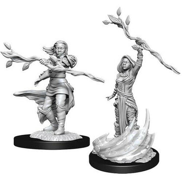 D&D Mini (W14): Female Human Druid