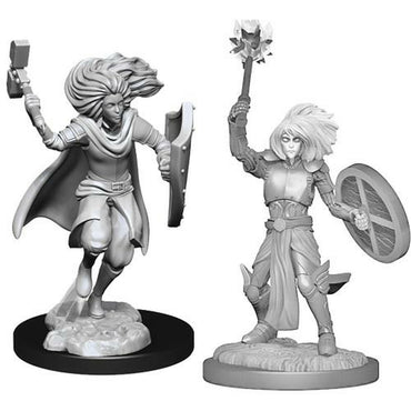 D&D Mini (W14): Changeling Cleric