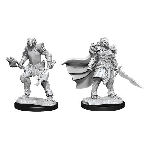 D&D Mini (W15): Female Dragonborn Fighter