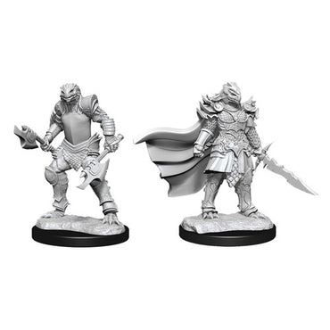 D&D Mini (W15): Female Dragonborn Fighter