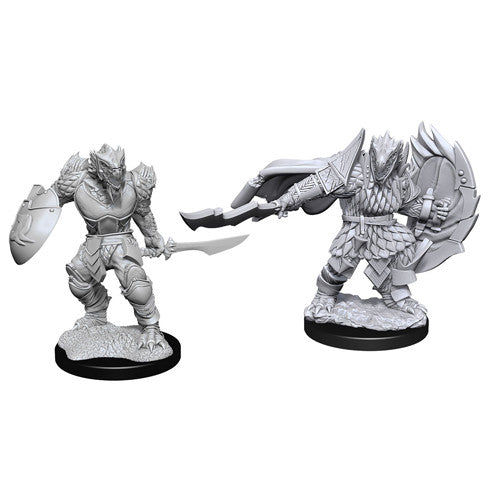 D&D Mini (W15): Male Dragonborn Fighter