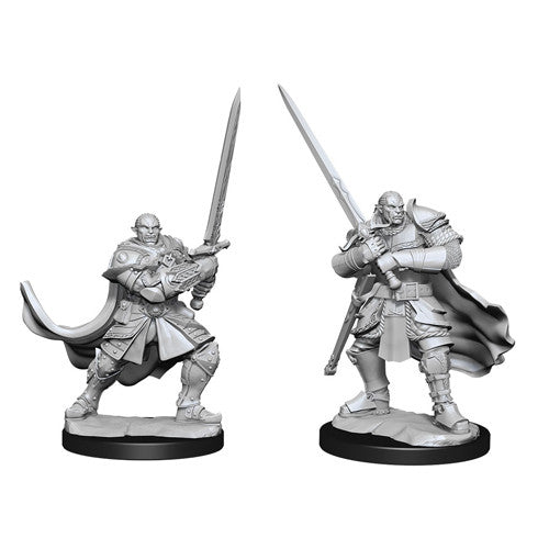 D&D Mini (W15): Male Half-Orc Paladin
