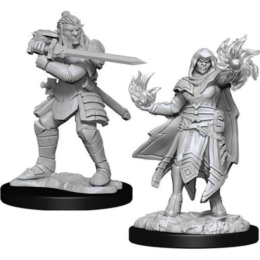 D&D Mini (W15): Hobgoblin Fighter & Wizard