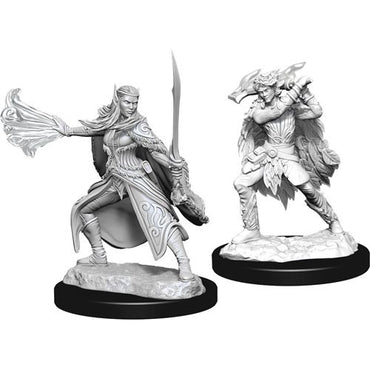 D&D Mini (W15): Winter & Spring Eladrin